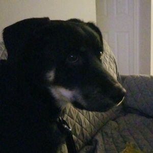 Meet your Posher, Rachelle